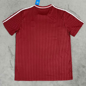 Camiseta FC Bayern Terrace Icons 2025